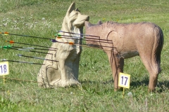 3d lukostrelba 20