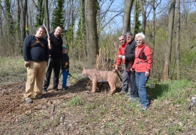 freunde bogenschiessen slowakei