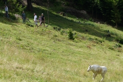 3d maraton utekac 14
