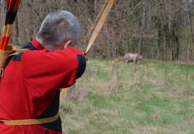 2015 archery in slovakia