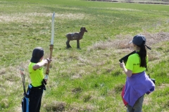 archery slovakia